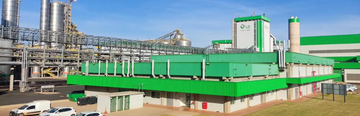 Fábrica de papel e celulose